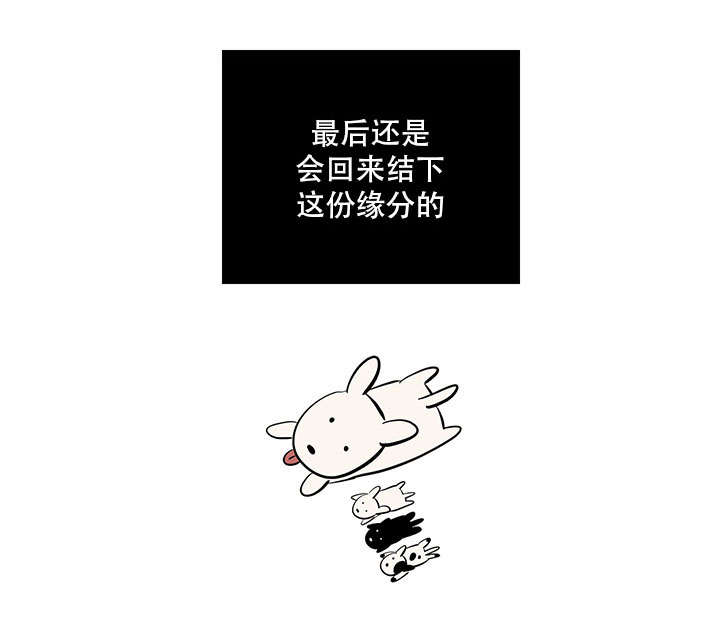 第42章：一年的重逢（完结撒花）13