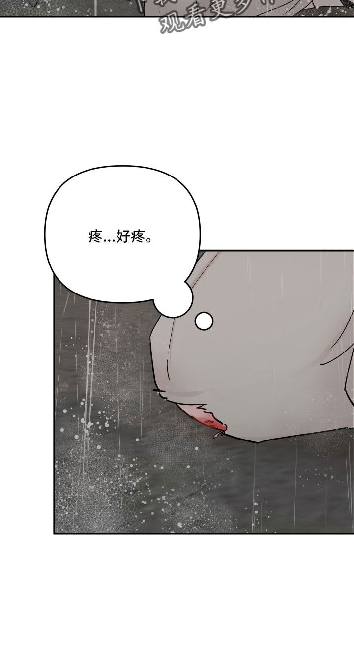 第89章： 【第二季】不回去18