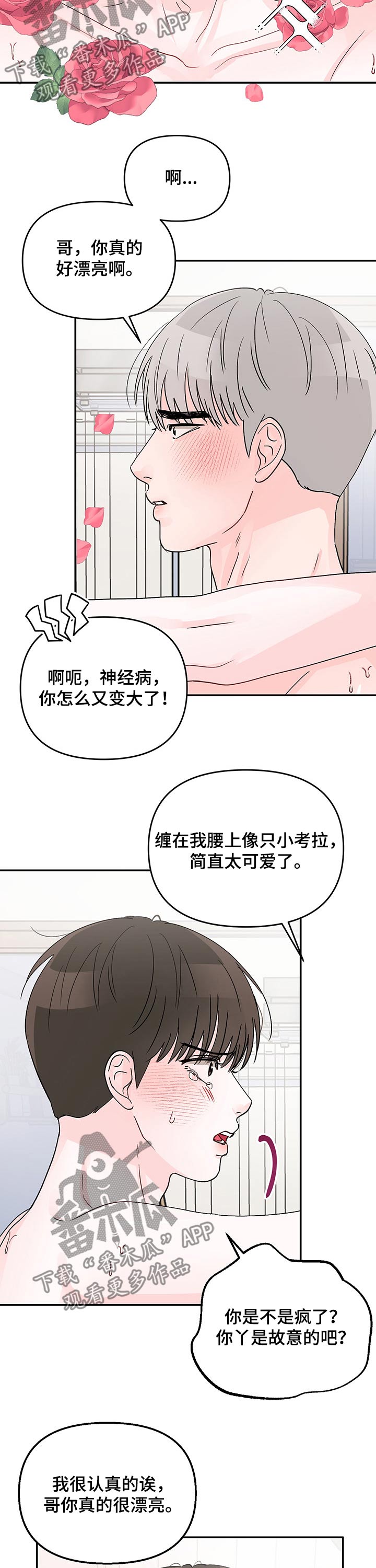第26章：过夜5