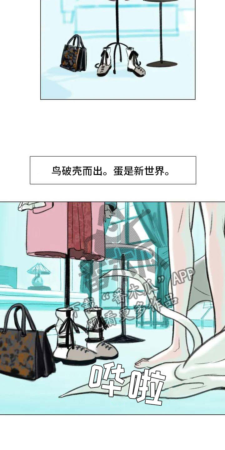 第5章：自由运营4