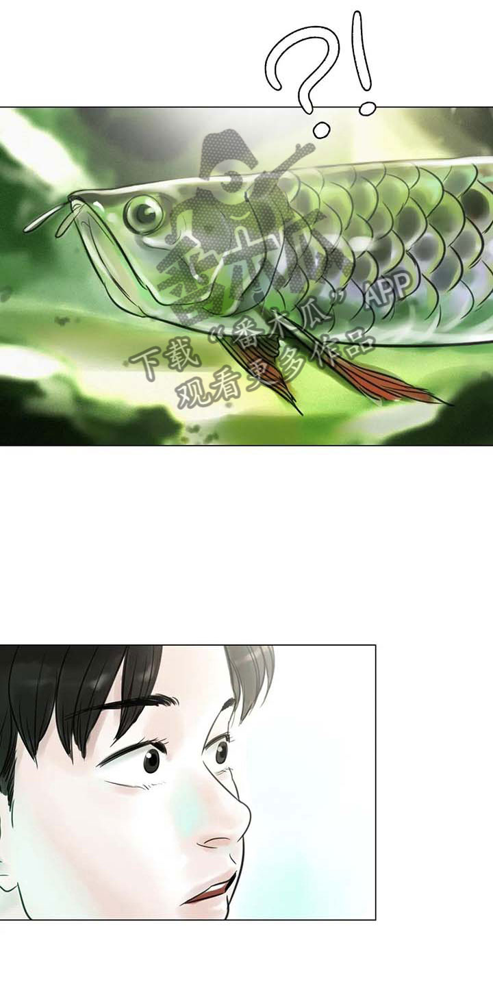 第25章：新的惊喜18