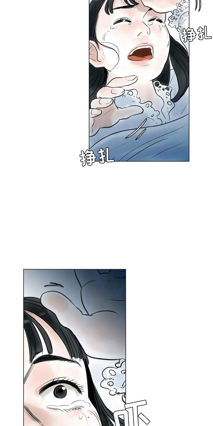 第25章：新的惊喜11
