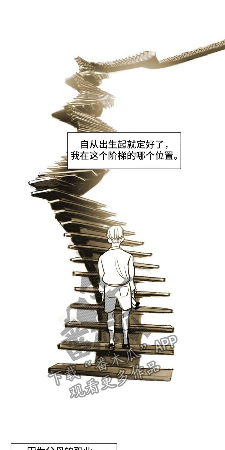 第36章：人气教授10