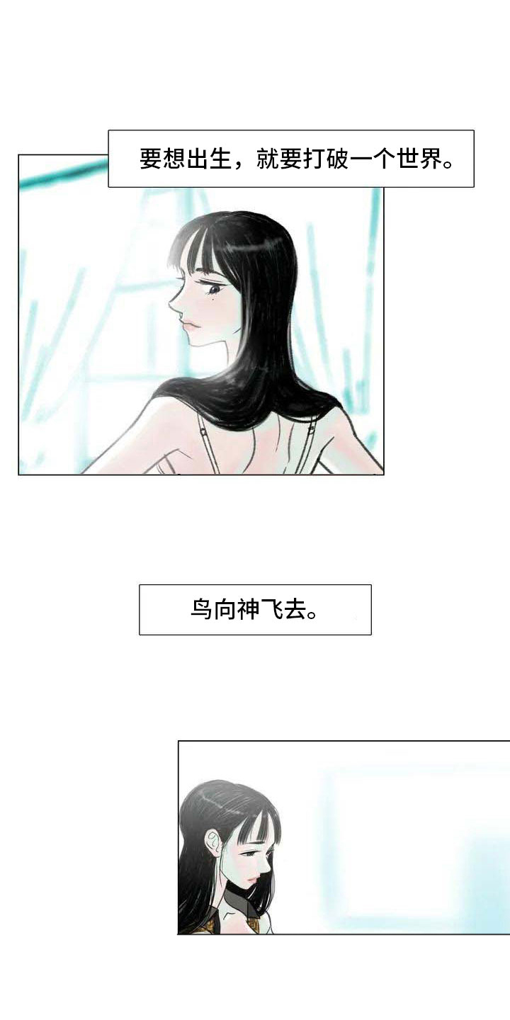 第5章：自由运营5