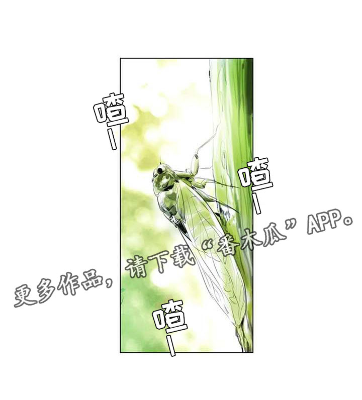 第41章：有话要说20