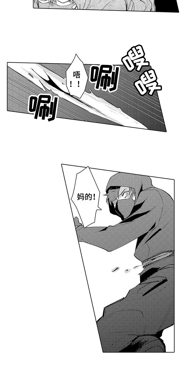 第13章：调查13