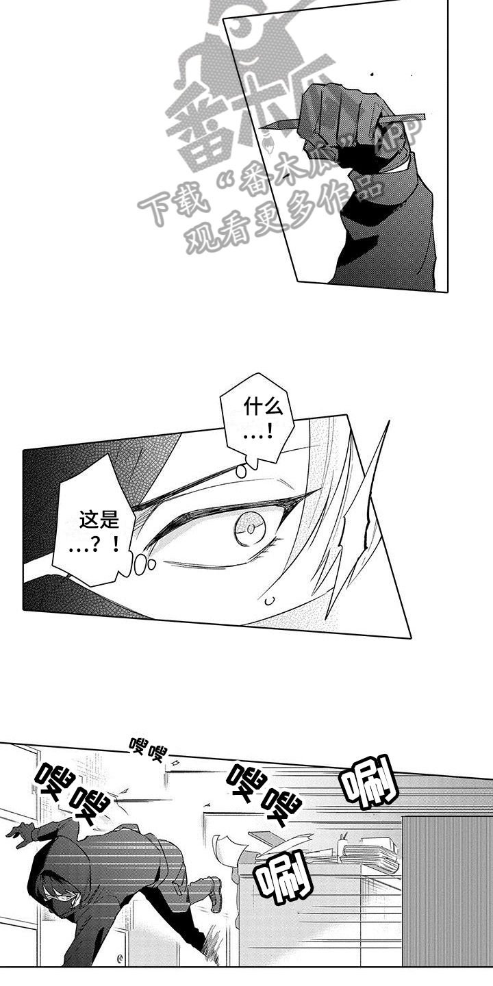 第13章：调查11