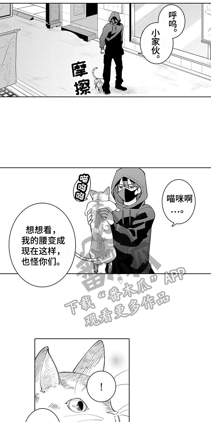 第16章：纹章7
