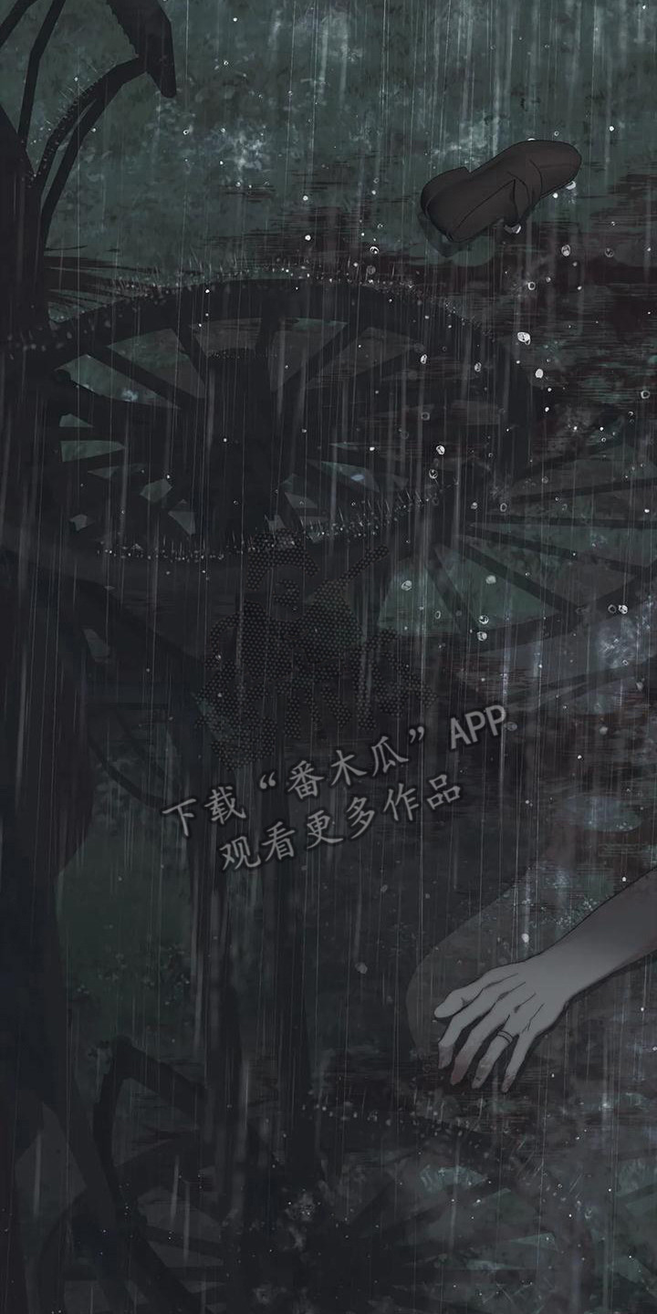 第11章：马车事故14
