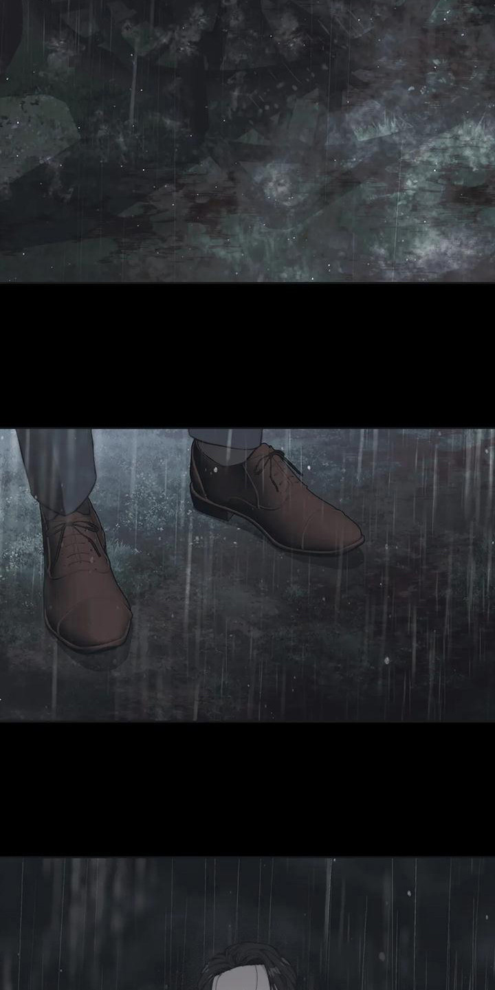 第11章：马车事故15