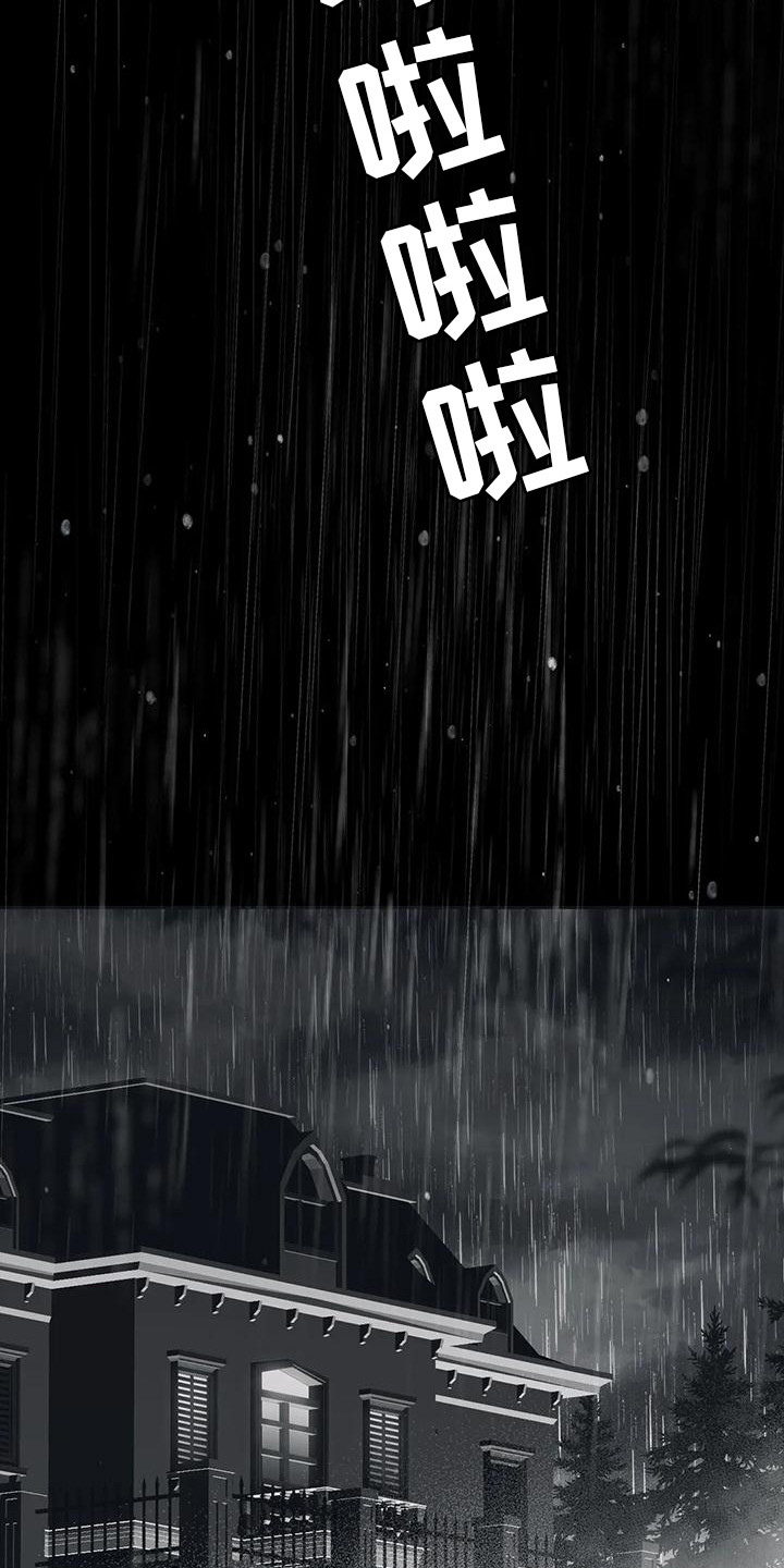 第11章：马车事故9