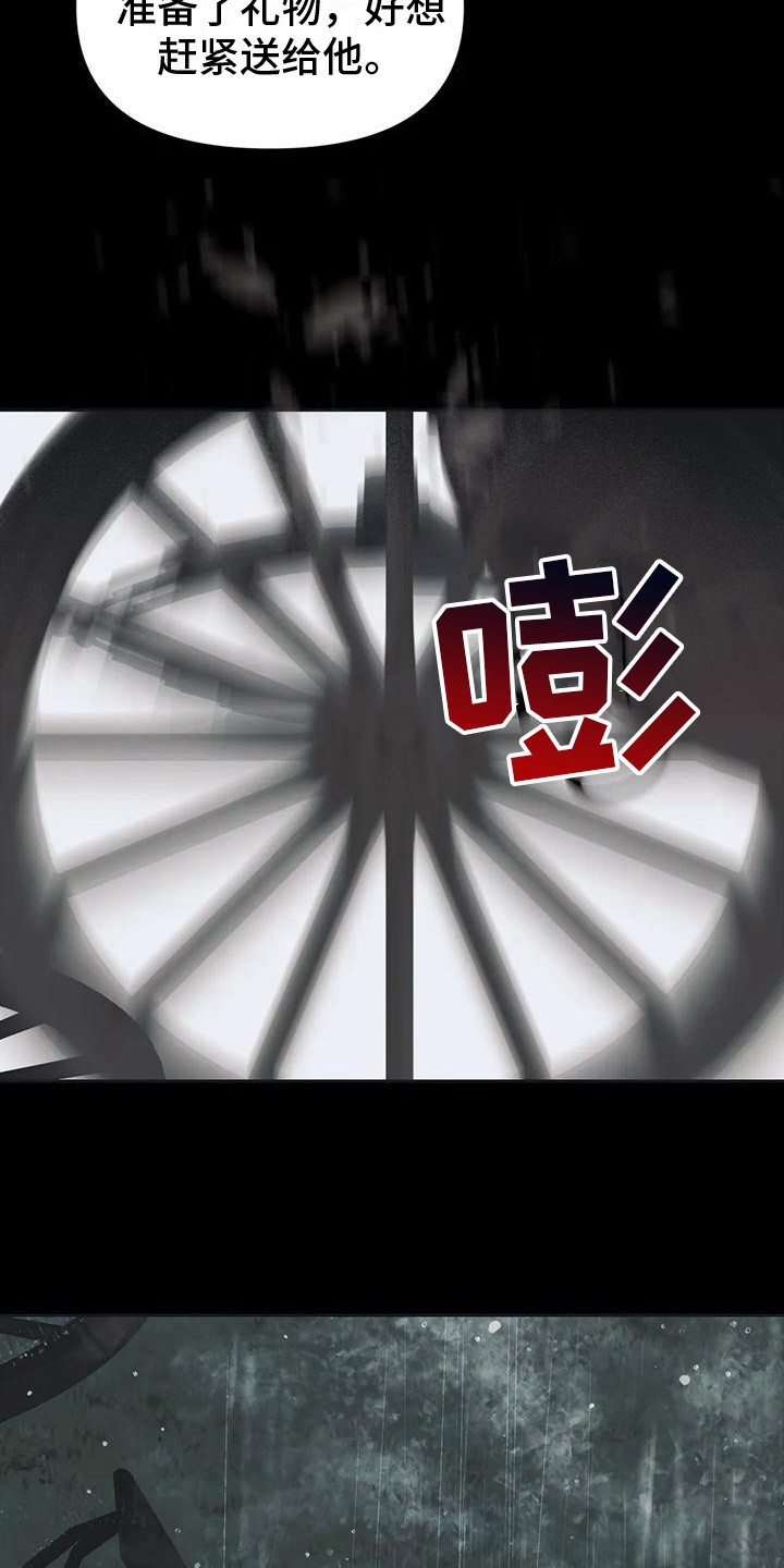 第11章：马车事故13