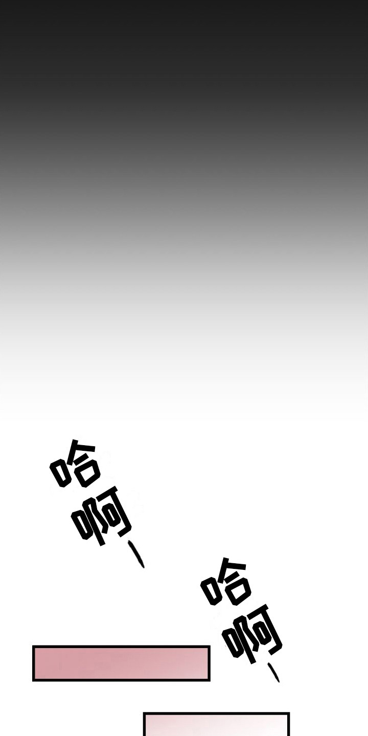 第13章：另类直播：打赏11