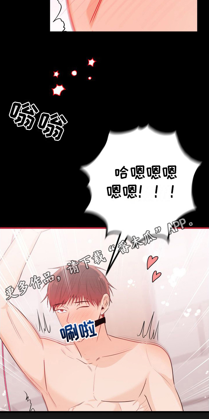 第13章：另类直播：打赏10