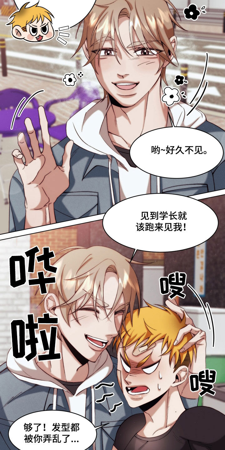 第24章：【第二季】友情与爱：都是你的错7