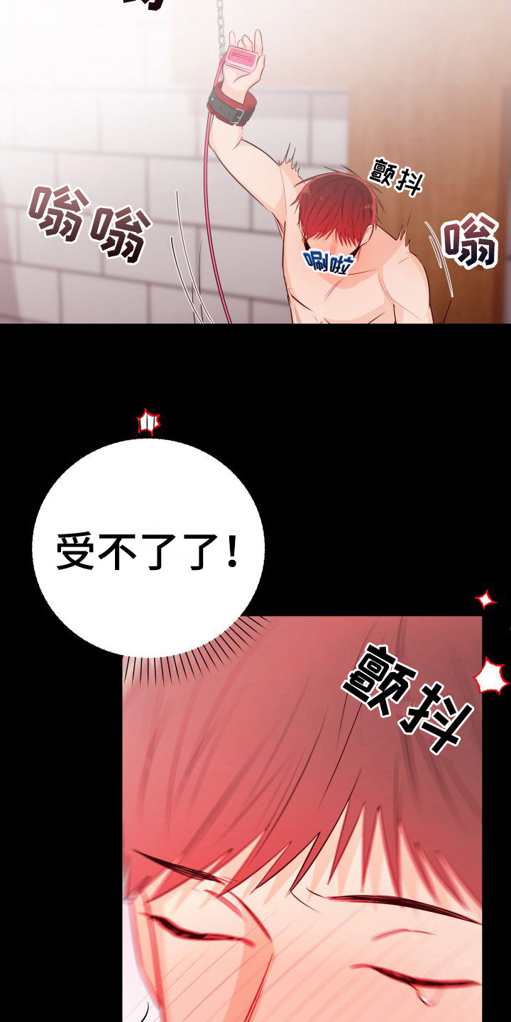 第13章：另类直播：打赏9