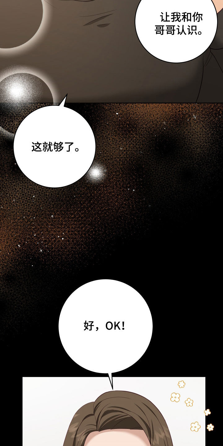 第78章：【第二季】妹夫爱上我：计划成功（完）33