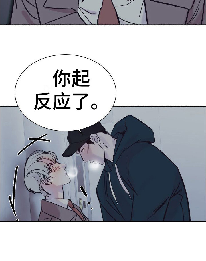 第3章：电梯惊魂： 借口17