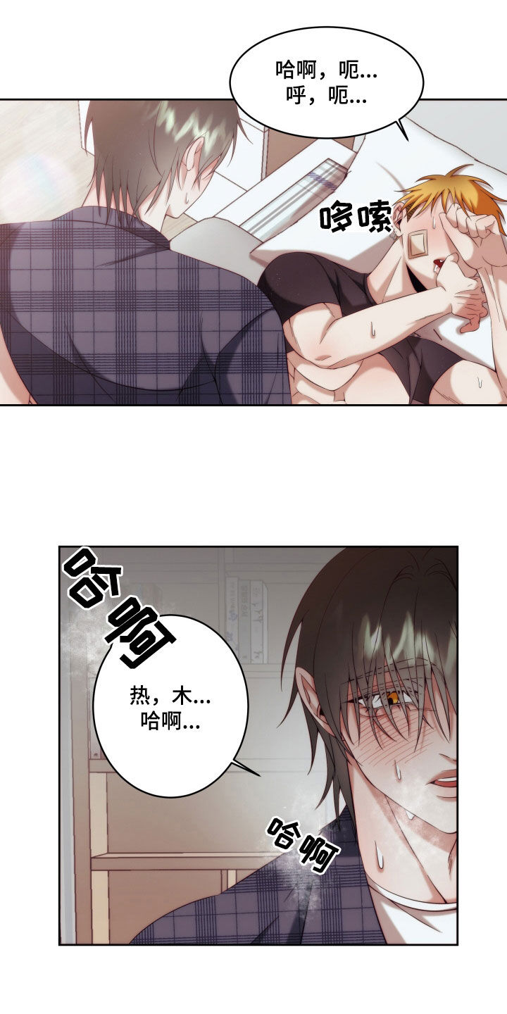 第27章：【第二季】黄色男孩：太好看了13