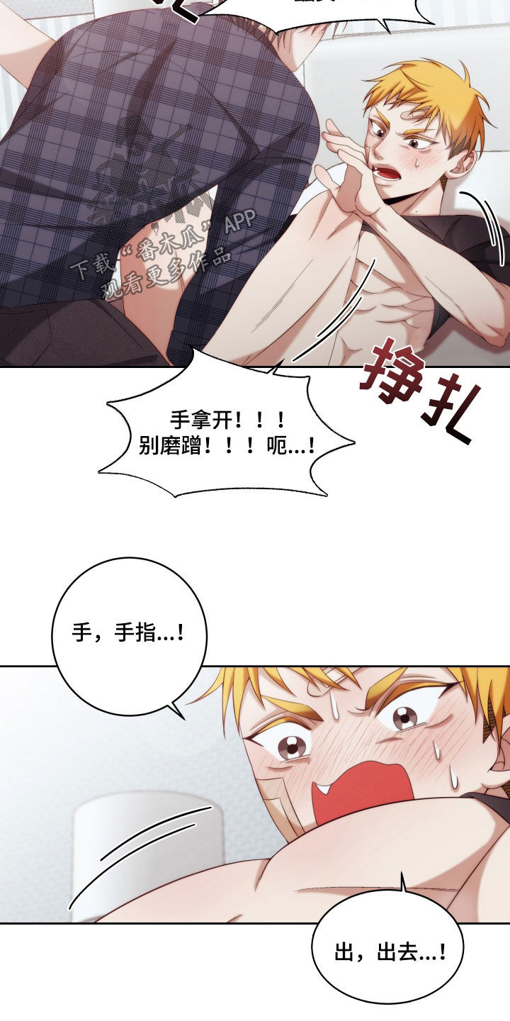 第27章：【第二季】黄色男孩：太好看了2