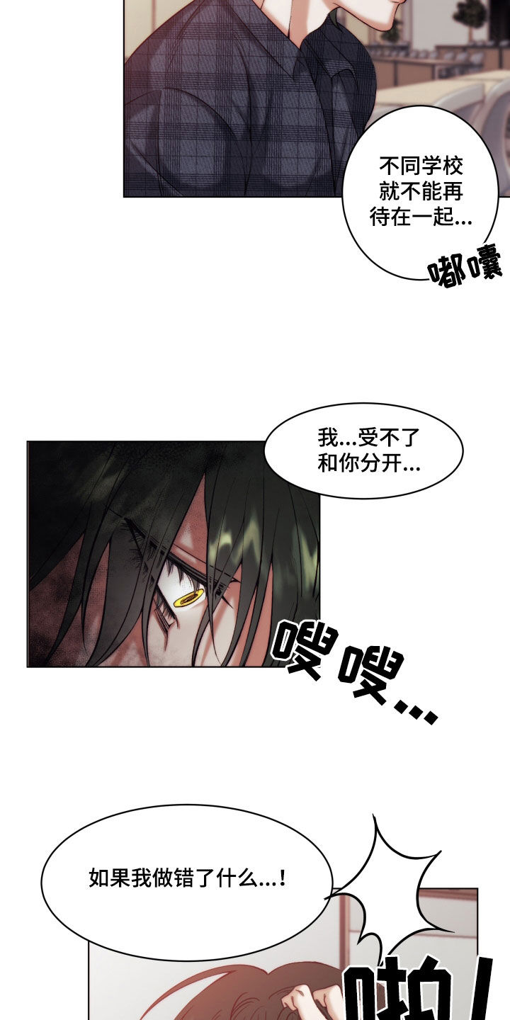 第23章：【第二季】友情与爱：青梅竹马17