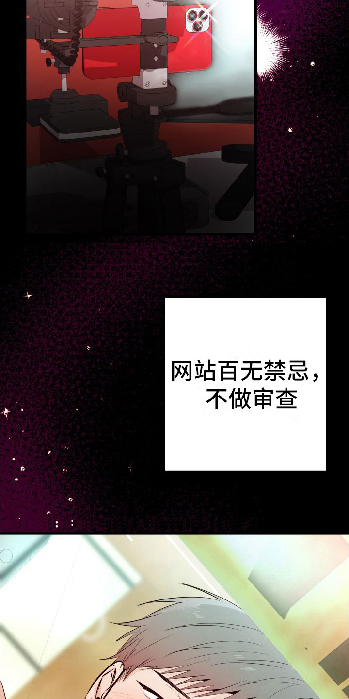 第12章：另类直播：直播网站23