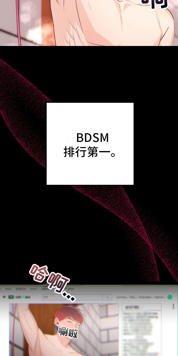 第12章：另类直播：直播网站26