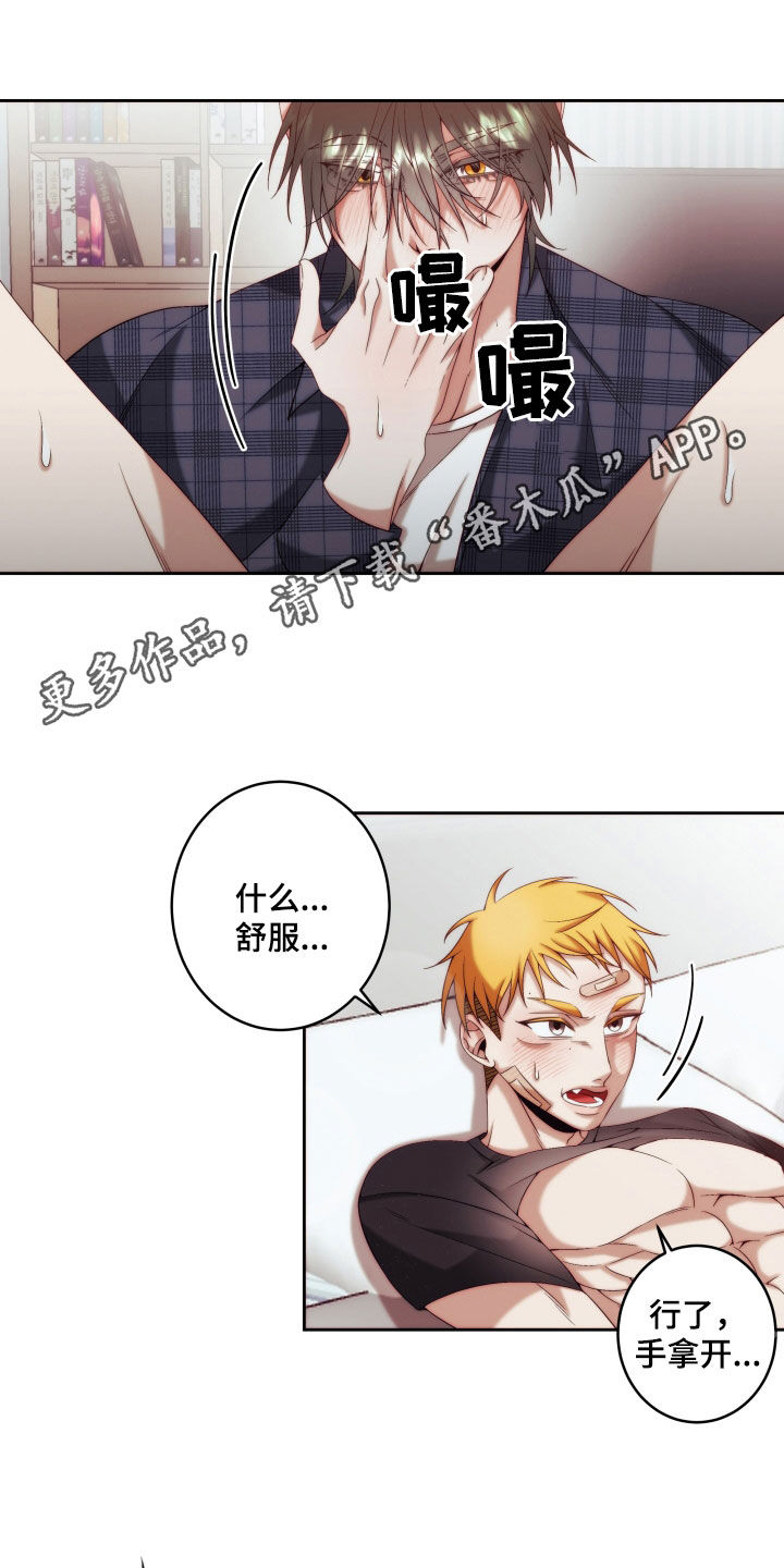 第27章：【第二季】黄色男孩：太好看了0
