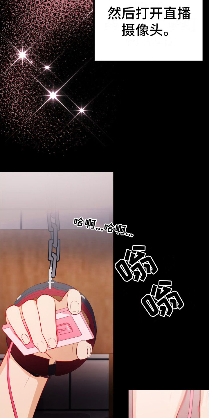 第12章：另类直播：直播网站20