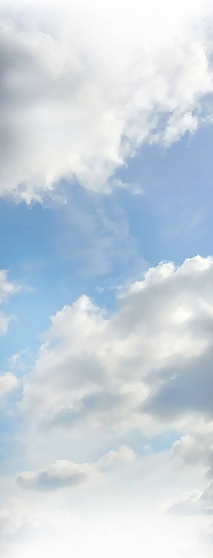 第5章：你不相信我11