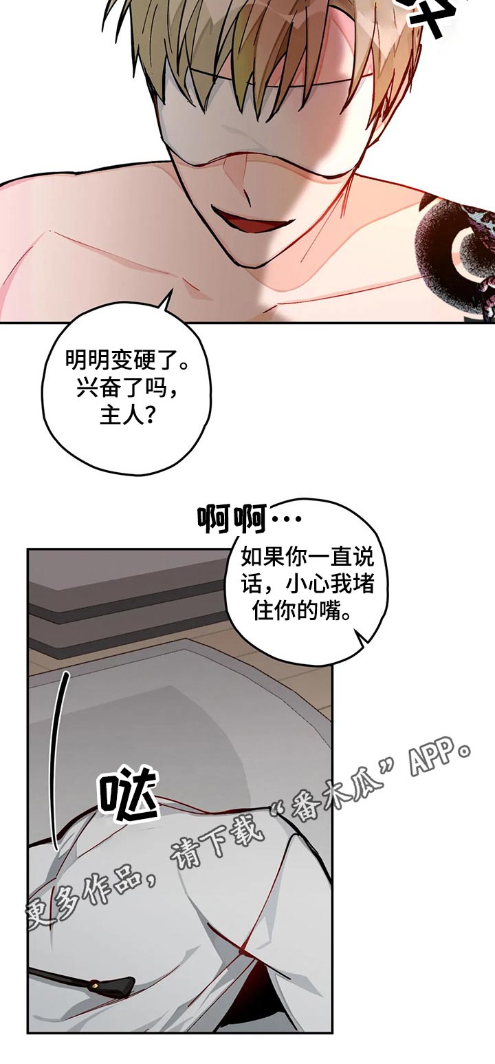 第38章：有趣8