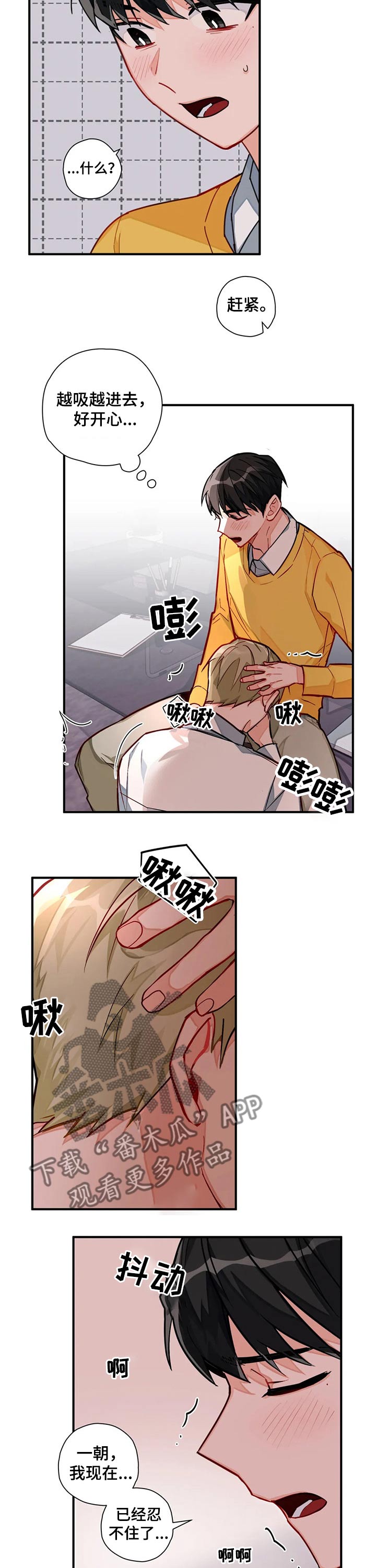 第19章：躲藏5