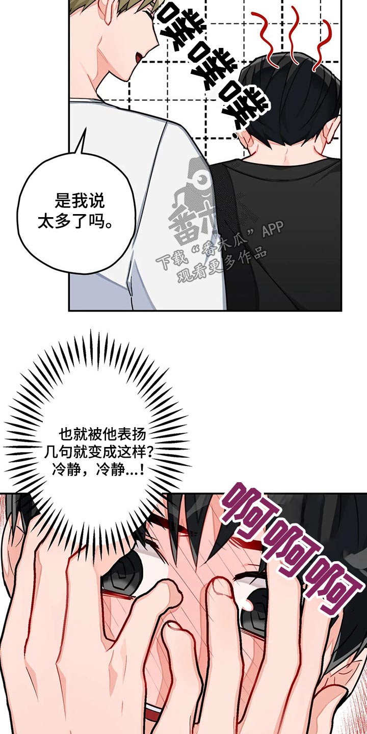第41章：建议12