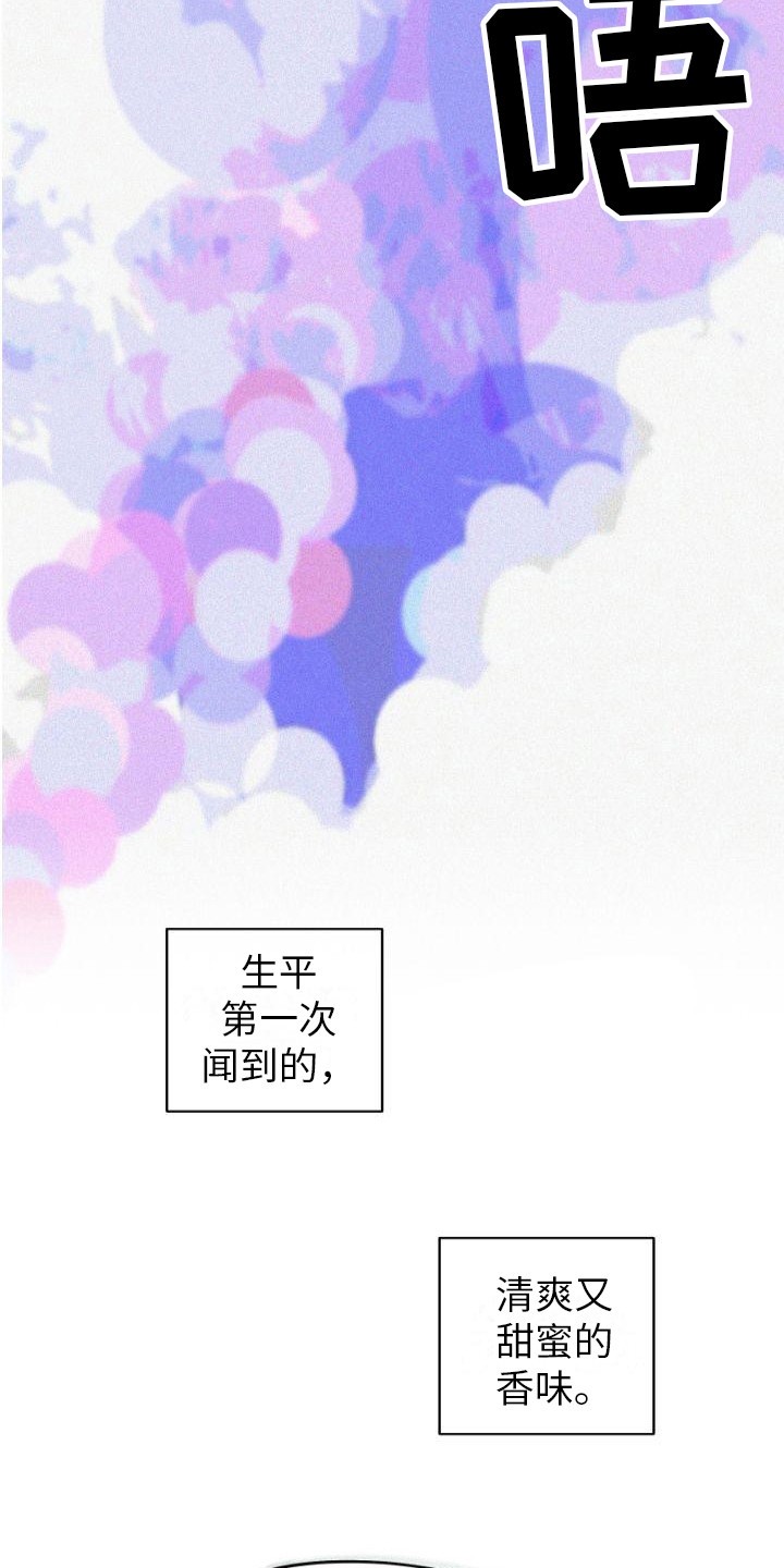 第3章：信息素5