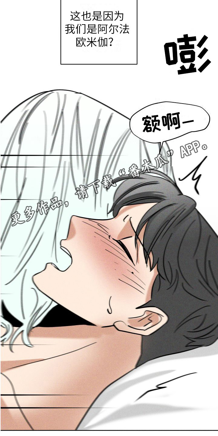 第10章：变得奇怪 19