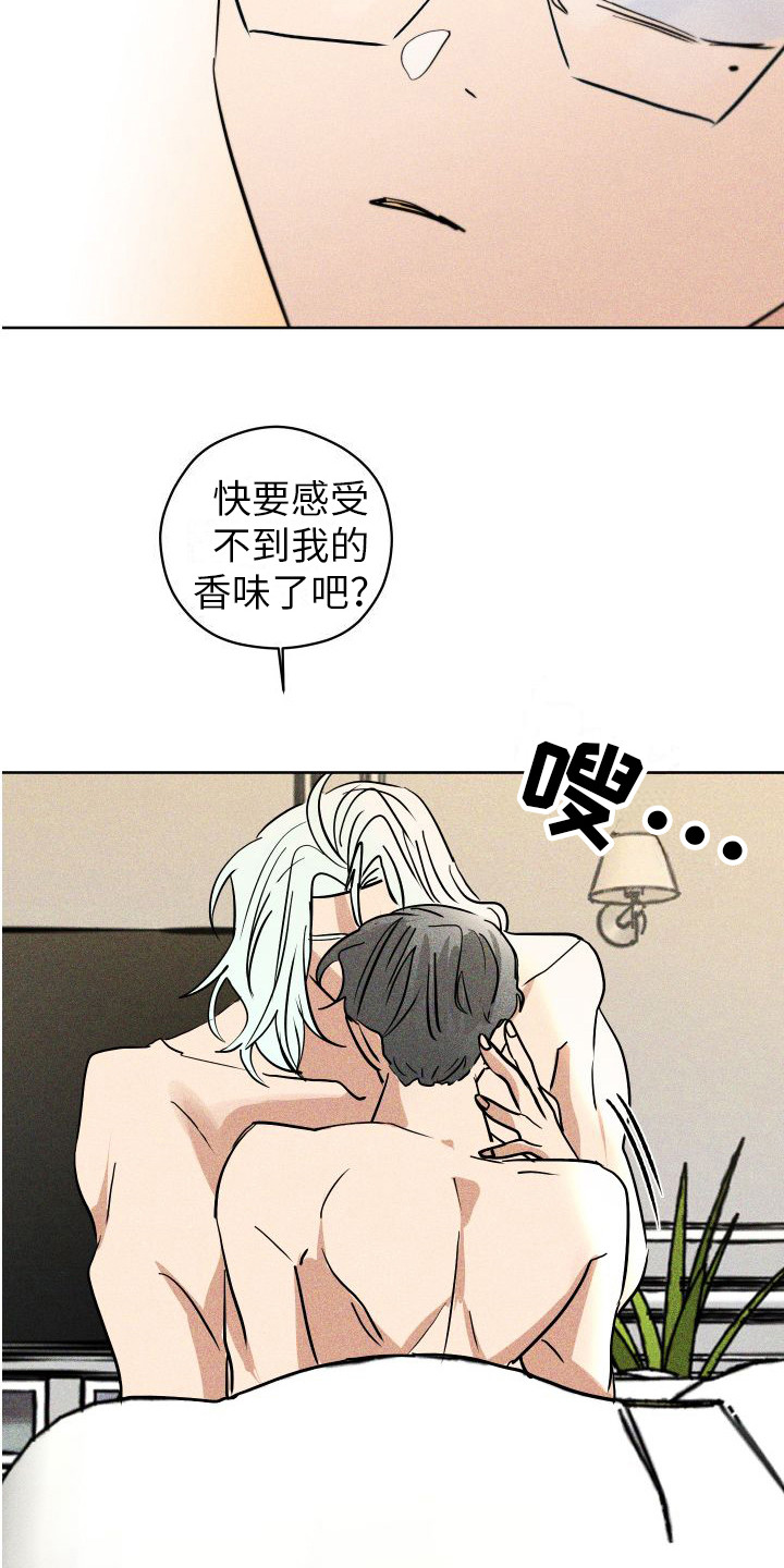 第17章：香味变淡 12