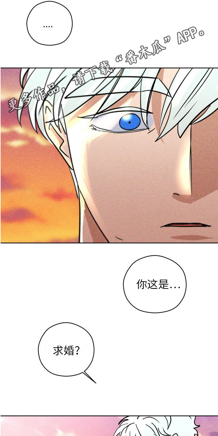 第21章：求婚（完结）10