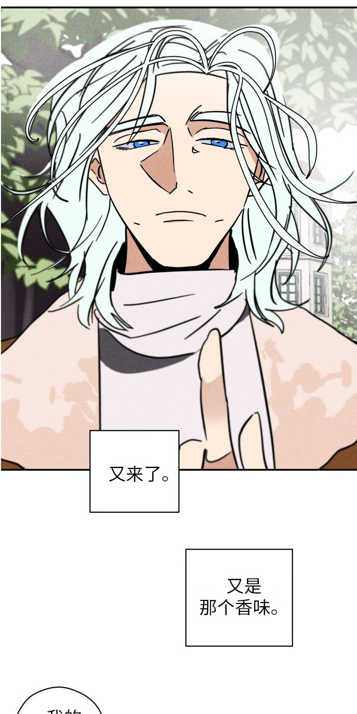 第5章：越来越晕15