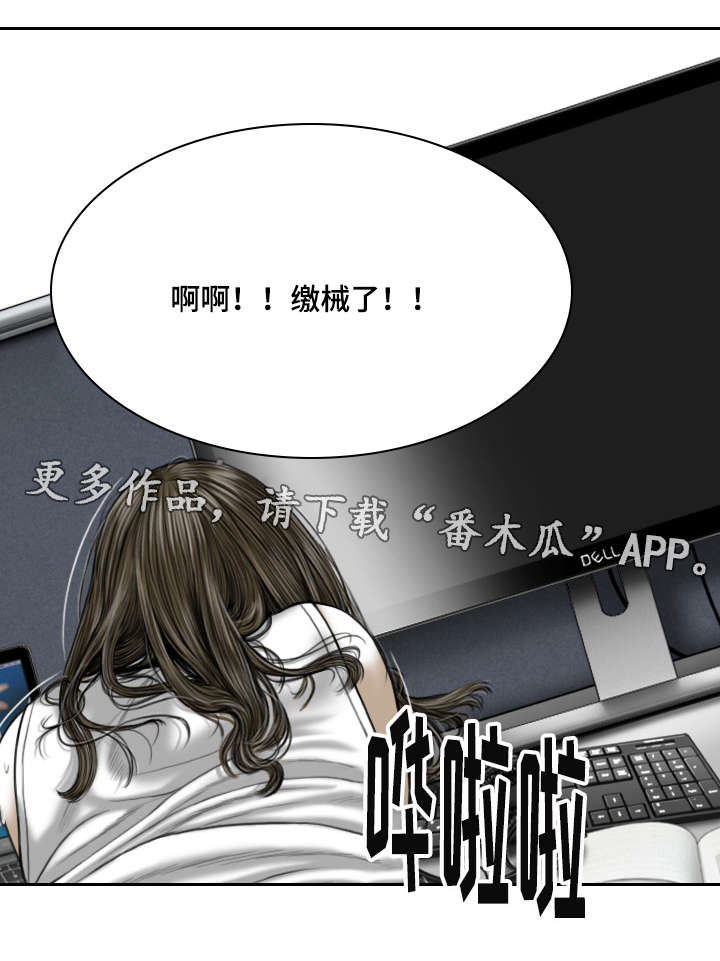 第15章：办公室11