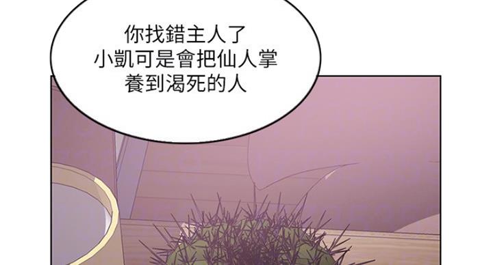 第41话41