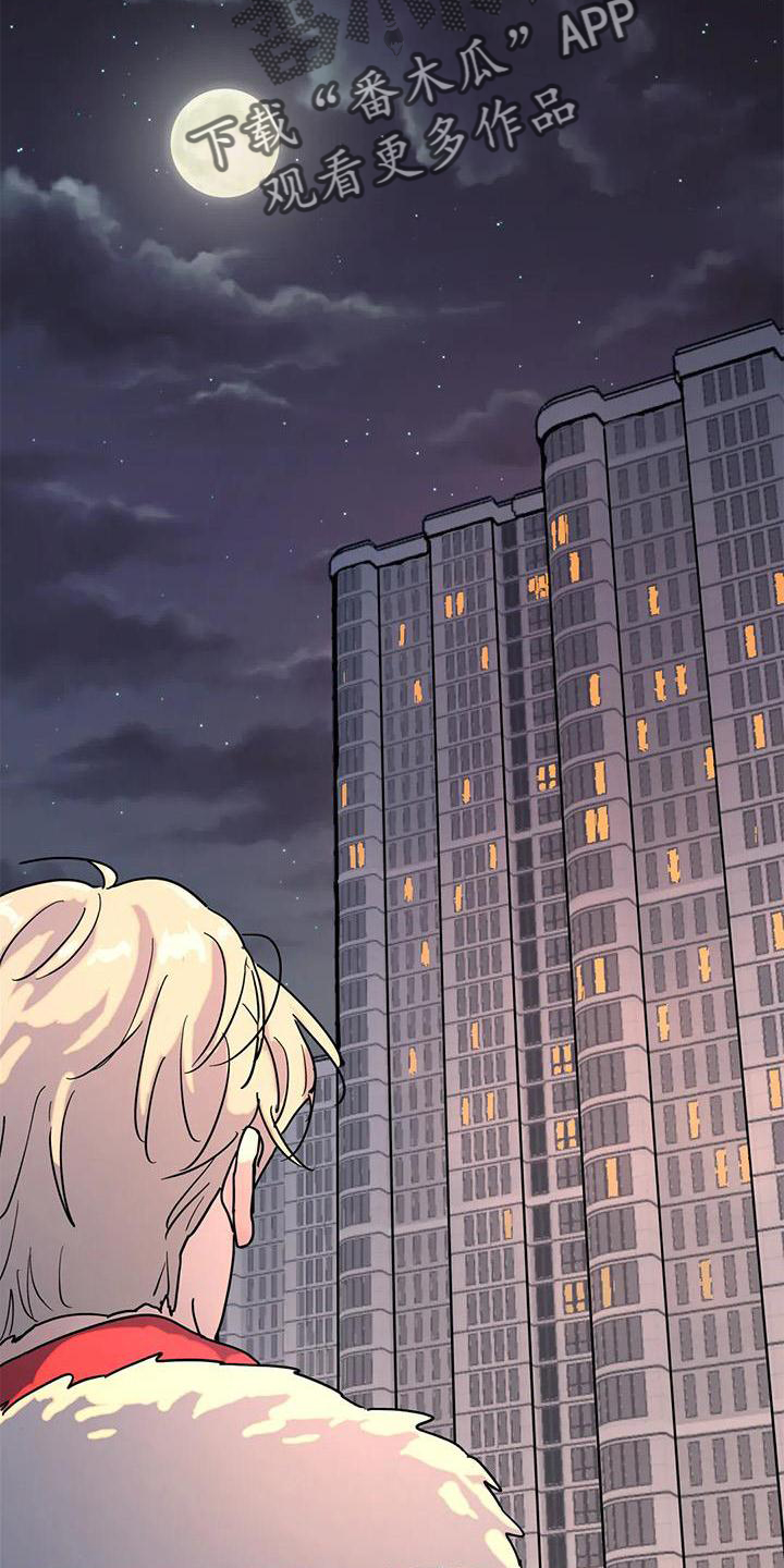 第20章：惊喜15