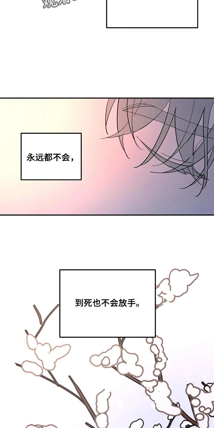 第55章：神奇的人12