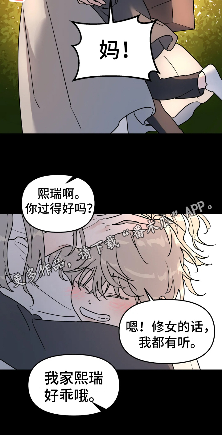 第14章：决心15