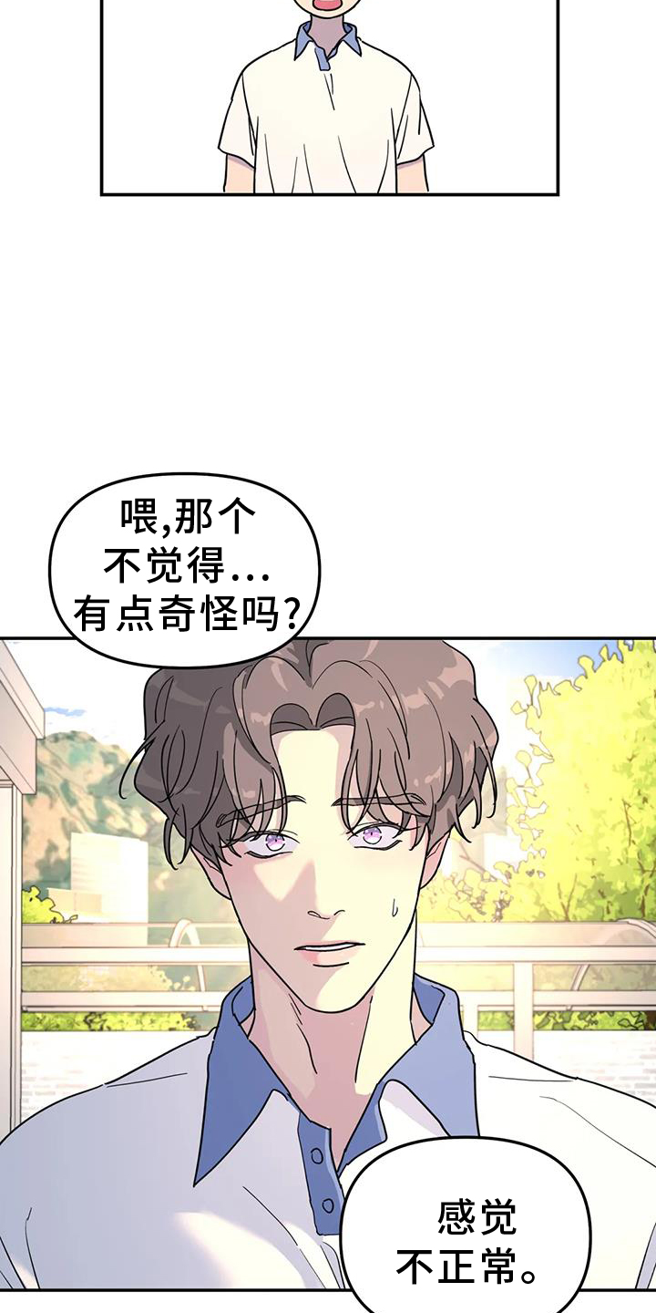 第65章：报告8