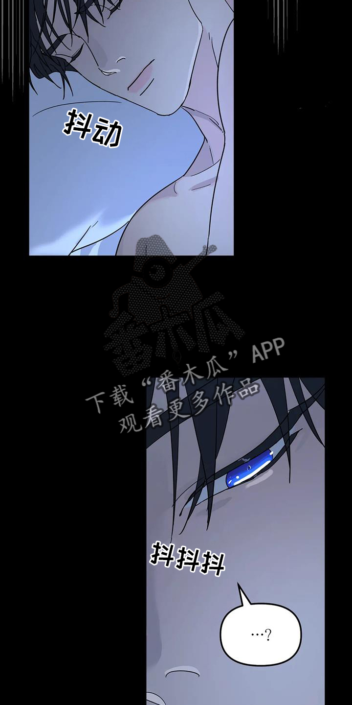 第65章：报告11