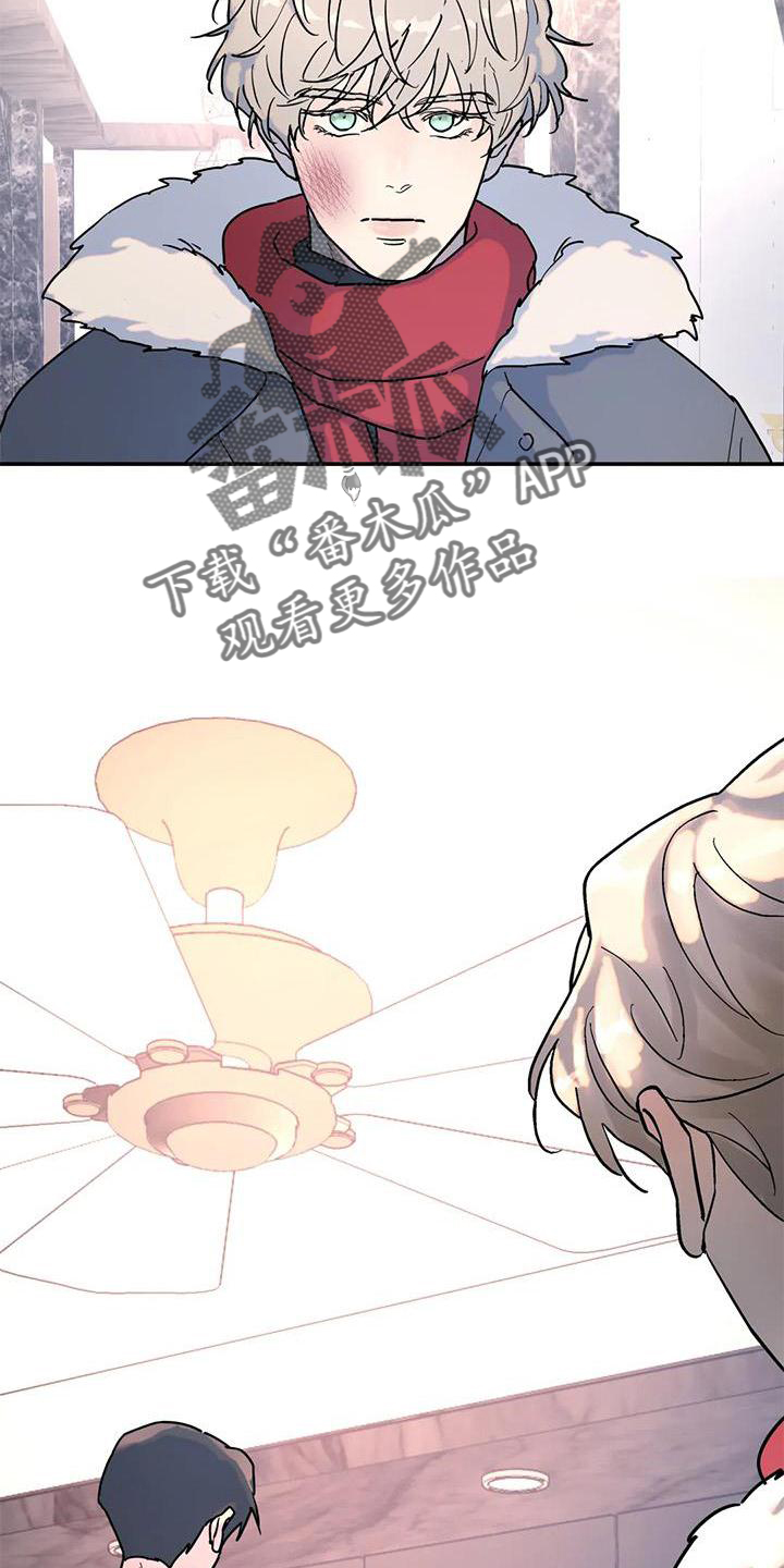 第20章：惊喜21
