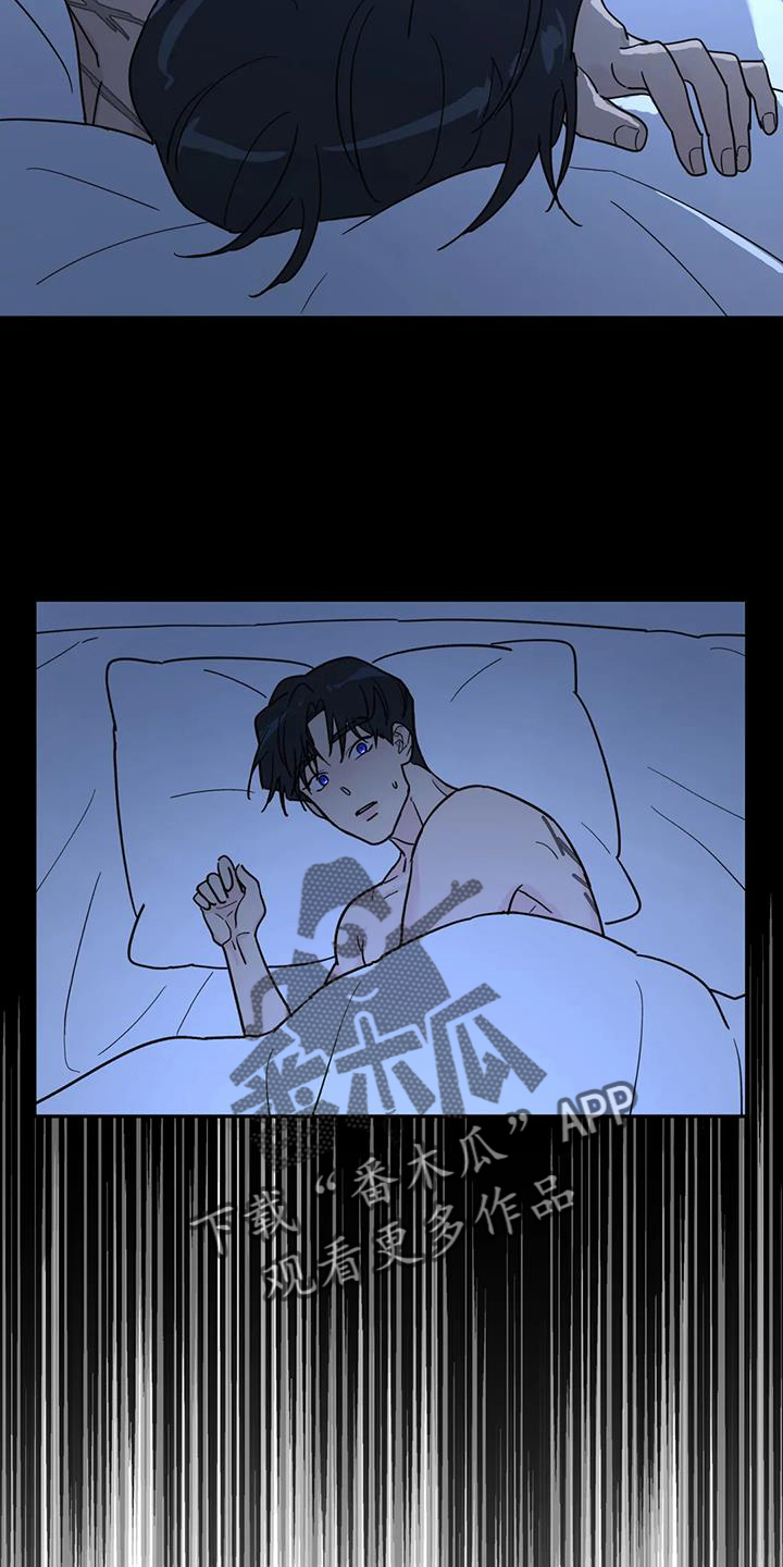 第65章：报告13