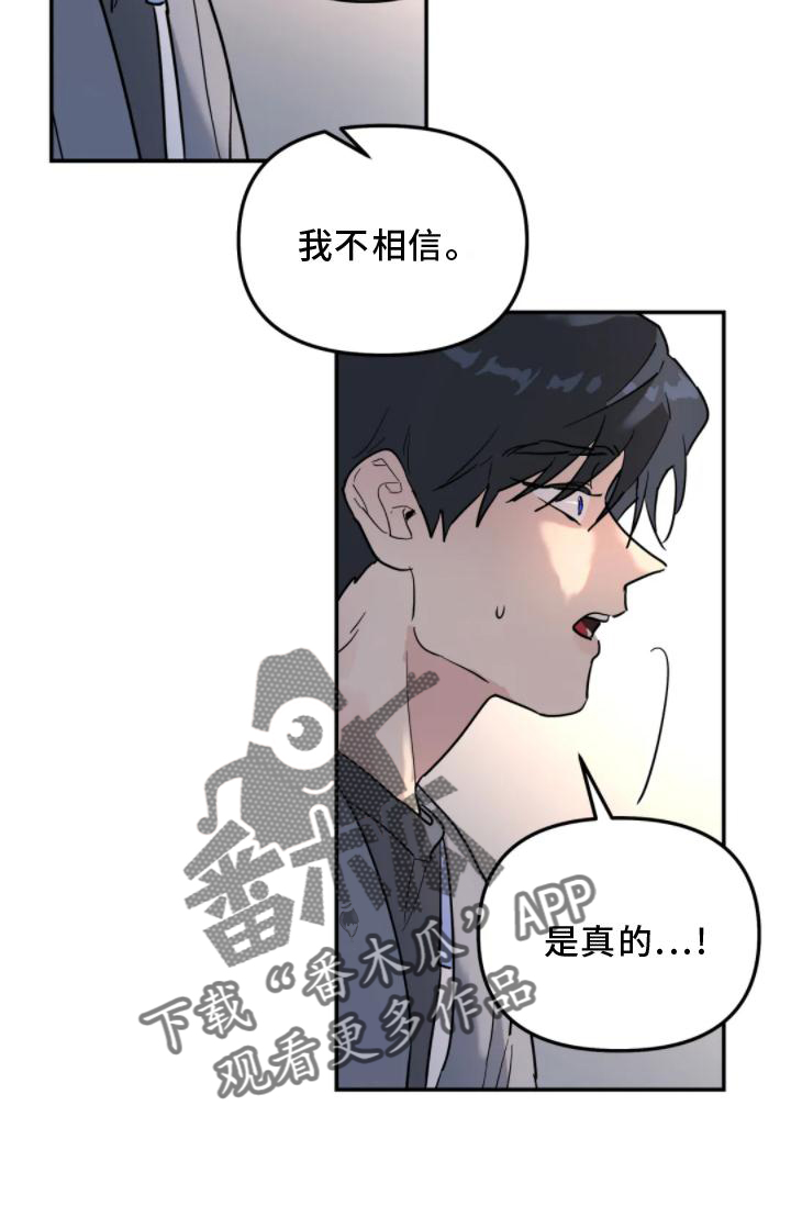 第31章：理解19