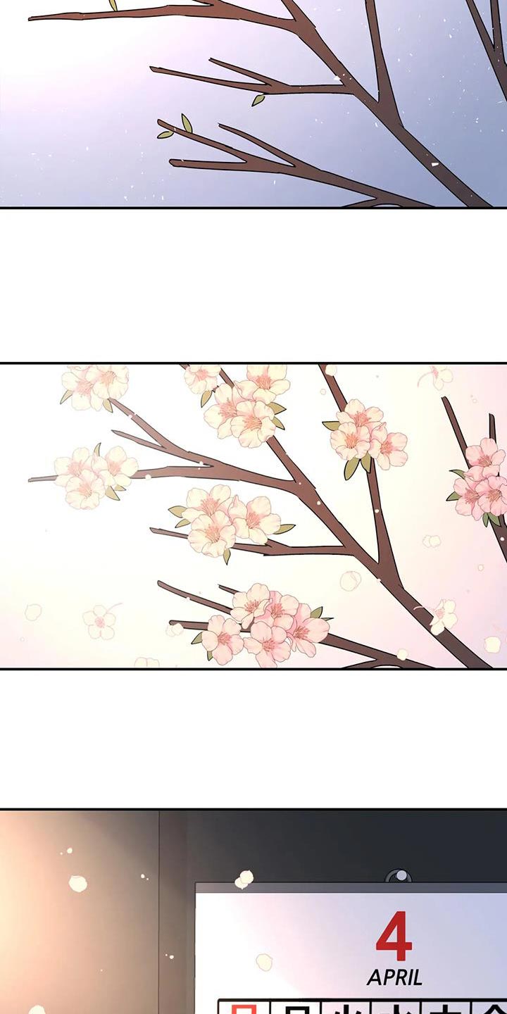 第55章：神奇的人14
