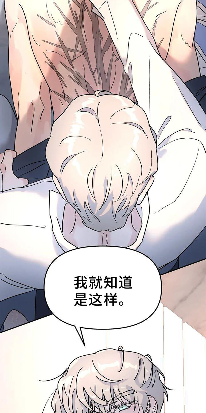 第28章：果然20